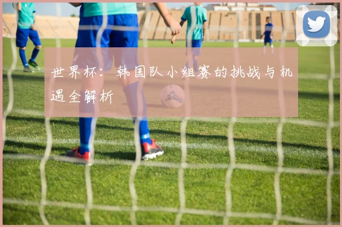 世界杯：韩国队小组赛的挑战与机遇全解析