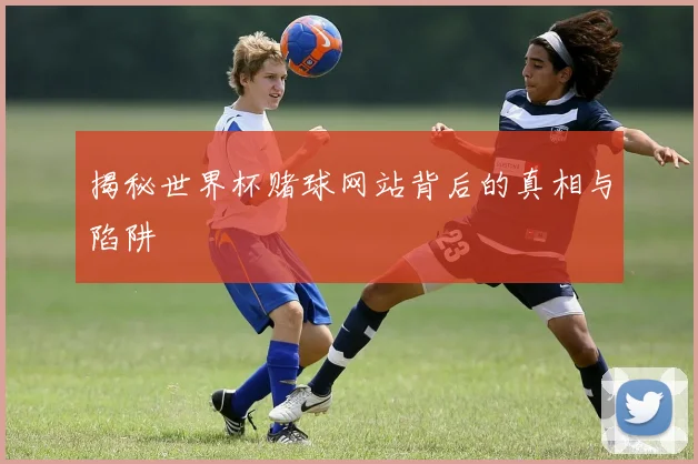 揭秘世界杯赌球网站背后的真相与陷阱