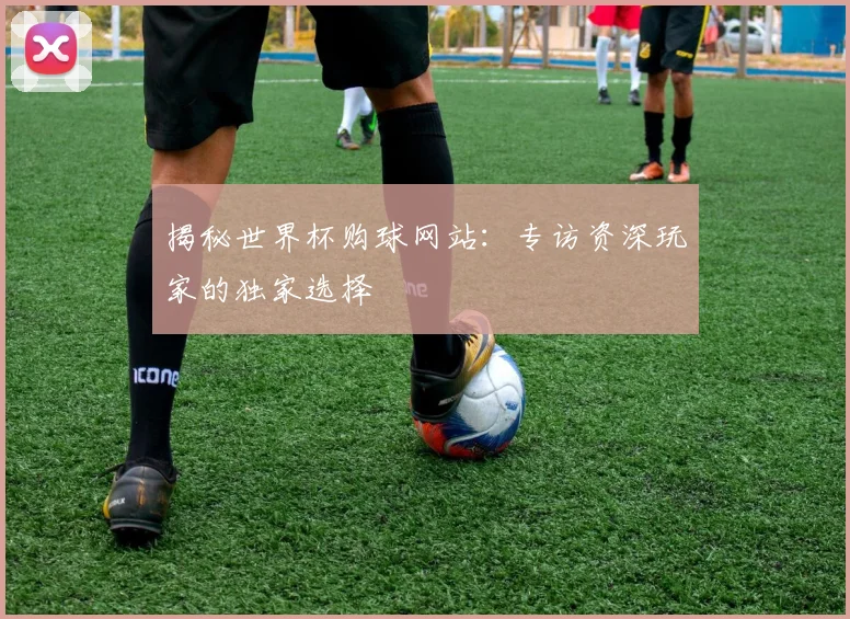 揭秘世界杯购球网站：专访资深玩家的独家选择