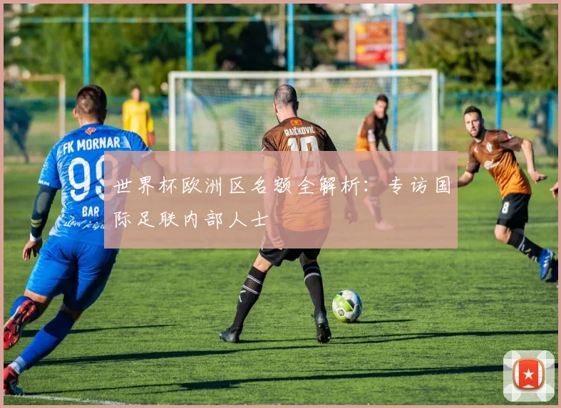 世界杯欧洲区名额全解析：专访国际足联内部人士