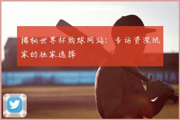 揭秘世界杯购球网站：专访资深玩家的独家选择