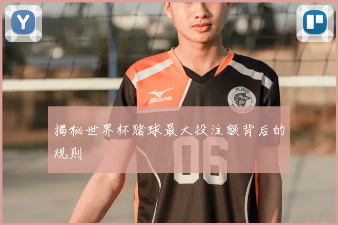 揭秘世界杯赌球最大投注额背后的规则