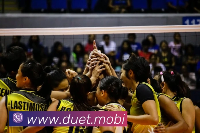 云开体app官网登录入口发展历程